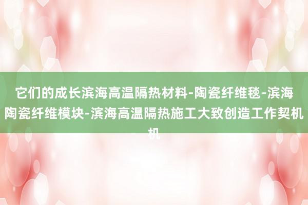 它们的成长滨海高温隔热材料-陶瓷纤维毯-滨海陶瓷纤维模块-滨海高温隔热施工大致创造工作契机